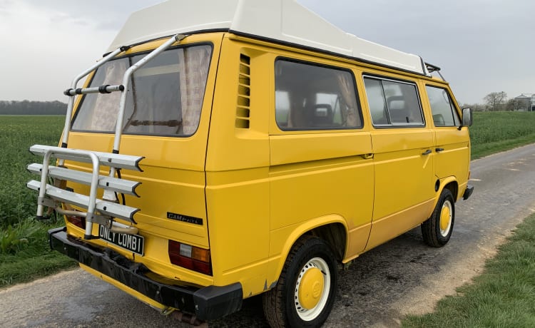 BAHAMAS – Volkswagen Bus T3