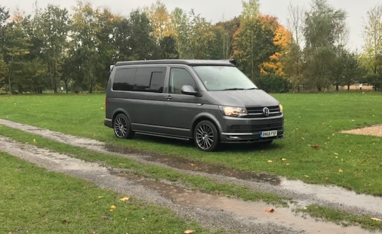 Gray – 4-persoons Volkswagen campervan uit 2018