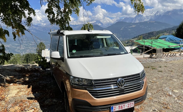 BATmobiel :) – VW California T6.1 met standverwarming