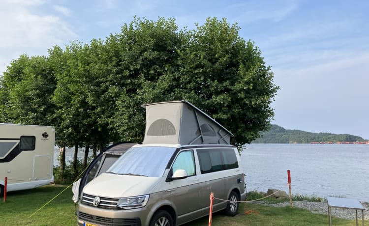 Bulli – Volkswagen California T6 Ocean (Opzioni complete)