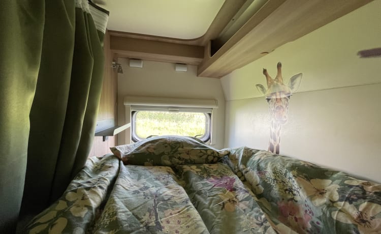 Lotus – 6p Roller Team alcove (2016)