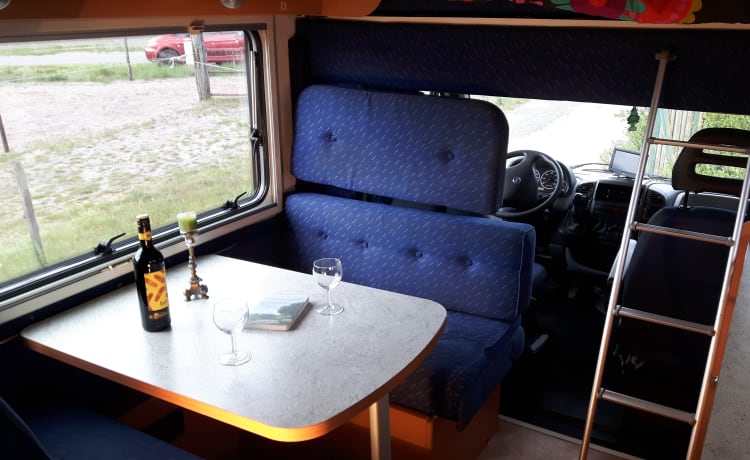 Cozy Fiat Ducato with air conditioning and bicycle carrier