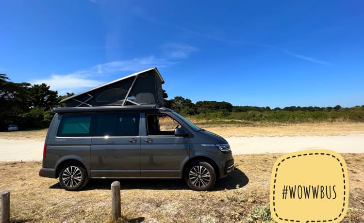 WOWW Grey – VW California Ocean T6.1