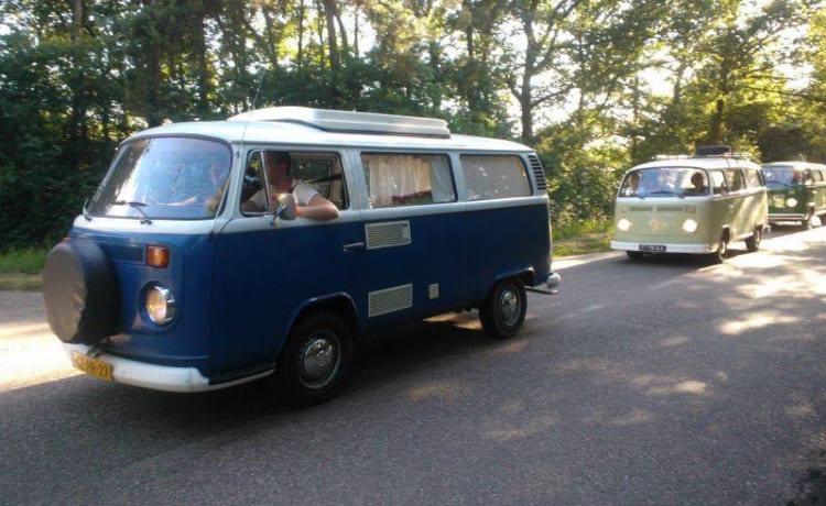 Brutus – Autobus Volkswagen Brutus