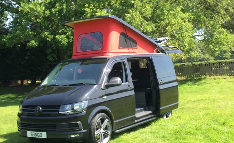 Black Beauty – Black beauty, our Vw T6 top of the range transporter 