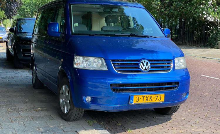 Prachtige Blauwe VW California T5 uit 2008