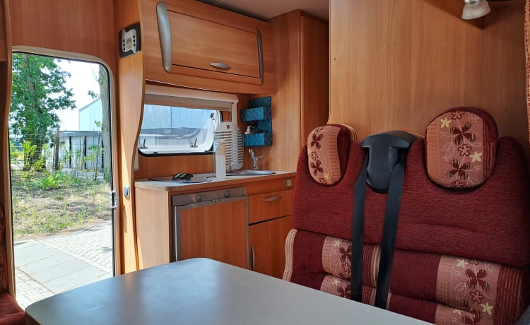 Kempie – Fine Chausson Ford - 2009 - 6 cinture