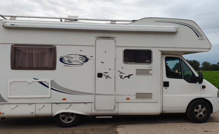  Te Huur  4/6 persoon camper LMC Fiat Ducato Alkhoof  2.3 jtd