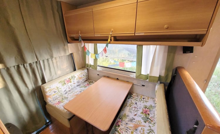 Freddy – "Camper Mansardato Fiat Ducato : Classico Vintage Familiare"