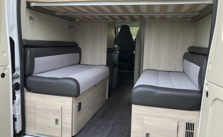 Tribute – 4 berth Autotrail Tribute 669 from 2020