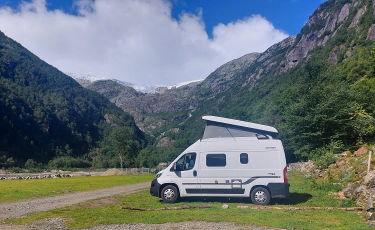 4p Hymer bus from 2019