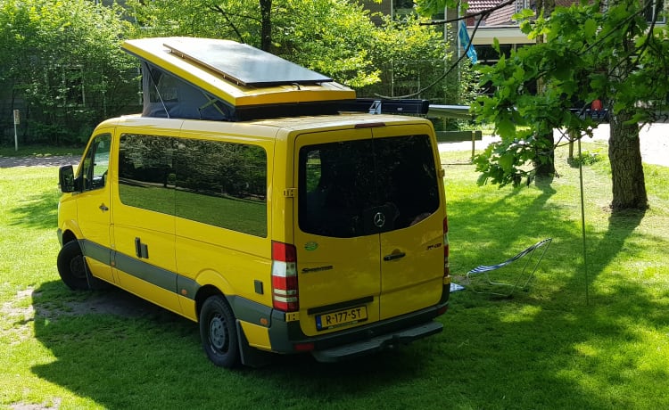 Autobus per persone alte, il nostro Yello Submarine