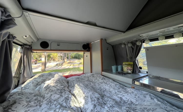 Colin de Camper – Volkswagen T4 California Bus-Wohnmobil, Top-Zustand, mit Extras und Off-Grid