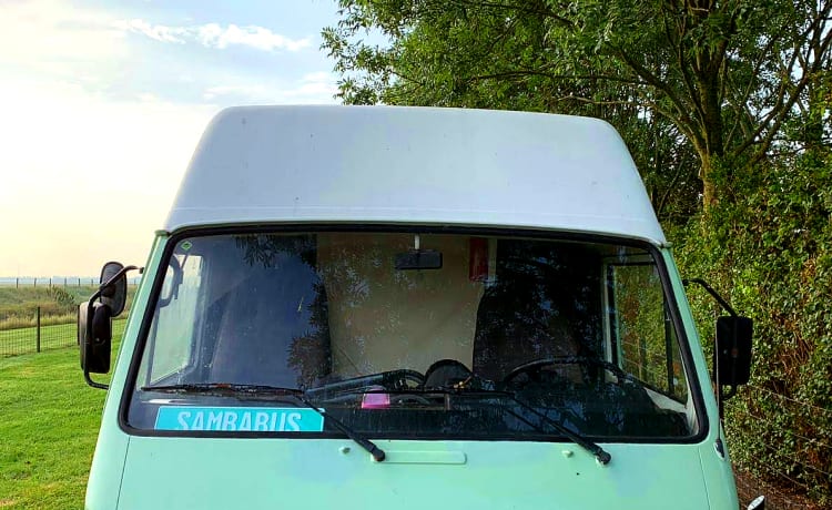 Samba – "Sambabus" Volkswagen LT 28 verde menta