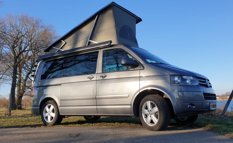 Grijs – Camping-car Volkswagen T5 California Bus avec toit relevable.