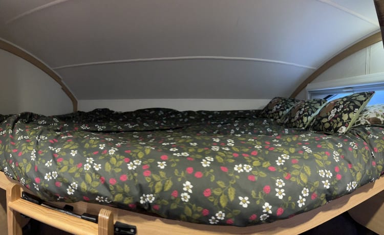 Happy holidays  – Happy Holidays - 6 berth Elddis Autoquest 180