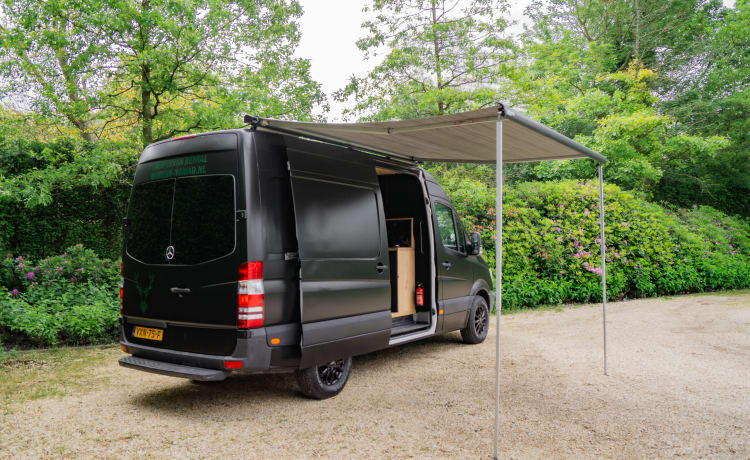 Freya – Mercedes Benz | Sprinter | 