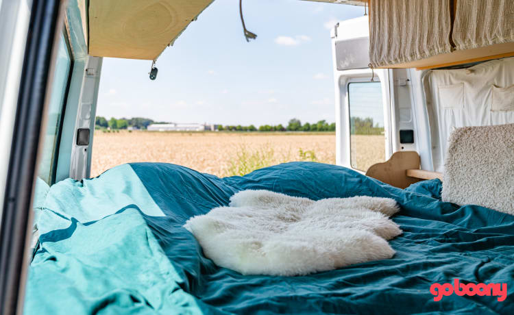 Marcelleke – Super cozy converted Mercedes Sprinter campervan L2H2