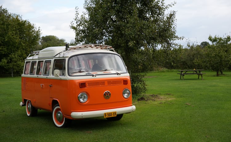 Bohemien – Camping-car rétro Volkswagen T2 : vivez une aventure inoubliable.