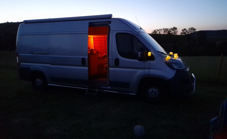 Devan – 3p Peugeot bus uit 2016