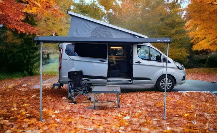 4p Ford campervan from 2023