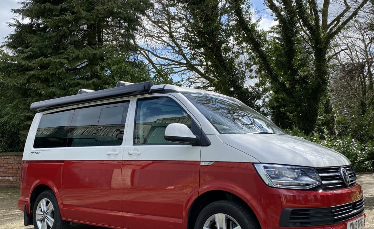 Bertie – Trek de aandacht met de originele VW Cali!! 2019