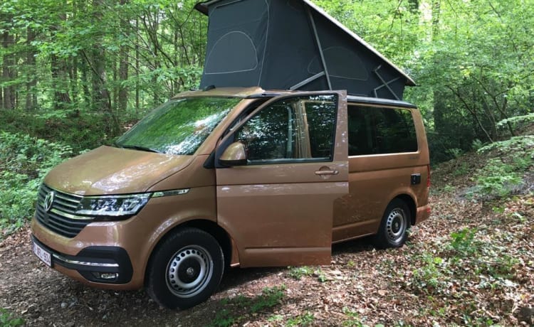 ROSIE – Volkswagen California 2022