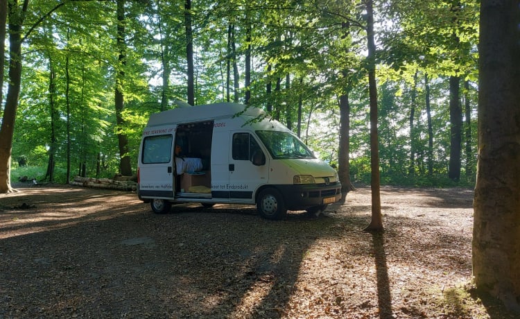 Hippiebus – Handgemaakte echt mooie hippievan met zonnepanelen