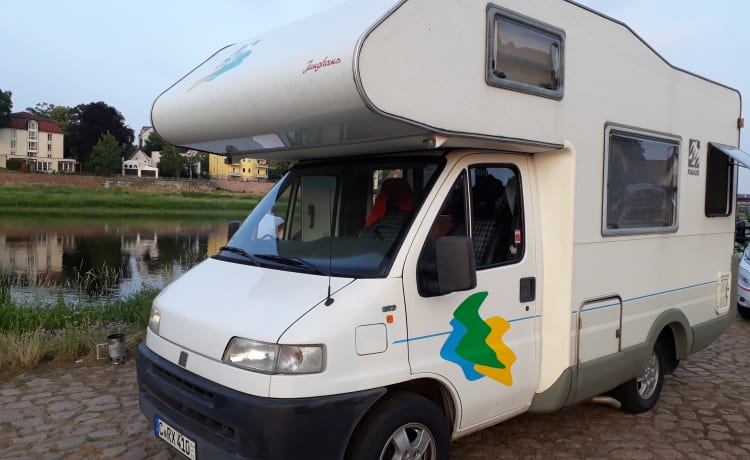 WOMO – WOMO MOBILE CAMPER FOR RENT / LOAN / RENTAL FIAT ALKOVEN