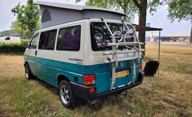 Dolly! – Go on an unforgettable road trip with this T4 Westfalia! KM-free!