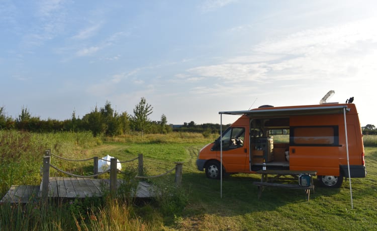 Bertha – Omgebouwde Ford Transit camper