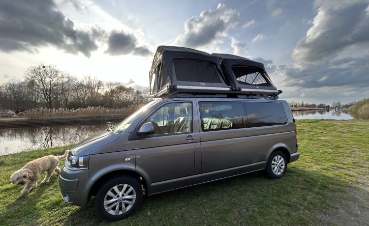 Rooftop party Van  – Happy 4 person Volkswagen party Van. 