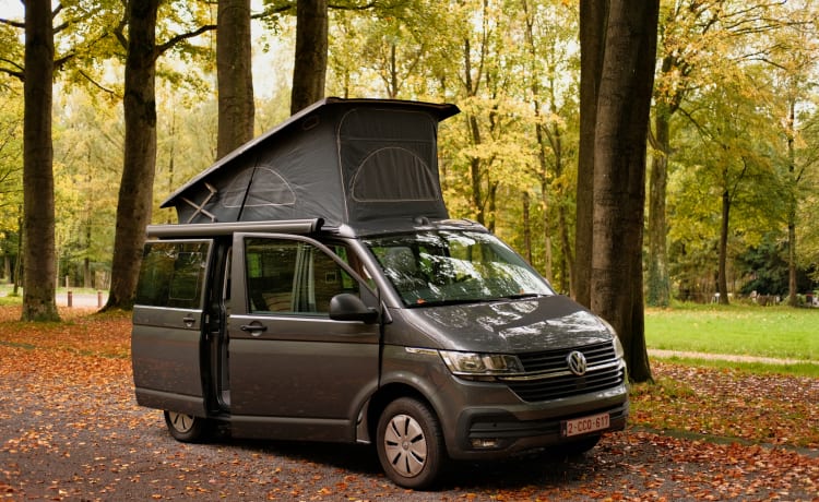 Desmond – VW California Coast Campervan (6.1) 2022