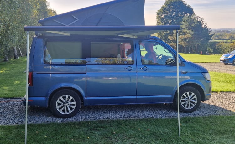 Callie – 4-persoons Volkswagen campervan uit 2018