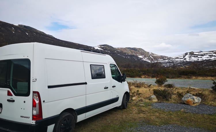 Campervan - Omgebouwde bus - Renault Master 2010