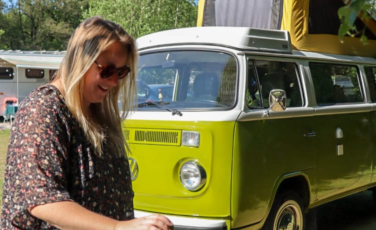 Sanseveria – Volkswagen T2b Westfalia Berlino '77