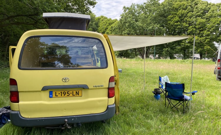 Franky – Cozy and unique van, ready for adventure!