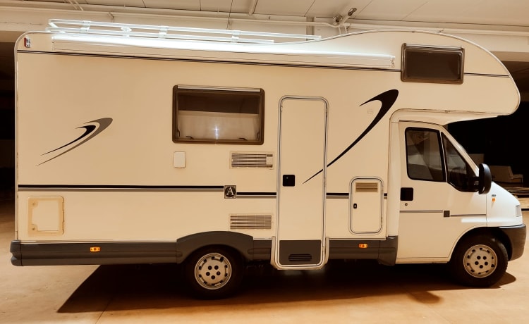 Anto – Camper Mclouis 430 glen