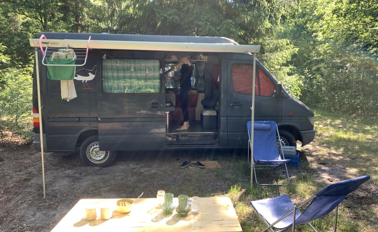 Gerrie – Camper Mercedes-Benz 2p del 1999