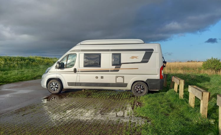 4p camperbus automaat en slaaphefdak uit 2021