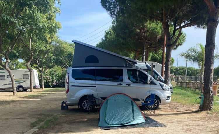 Nugget – 4p Ford Nugget Westfalia campervan uit 2021