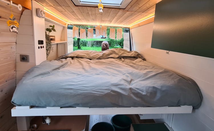 't buske! – Practical multifunctional motorhome for 2 people