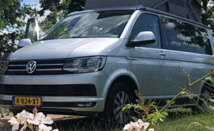 Bulli – Voiture d'origine VW California Ocean T6. Euro6