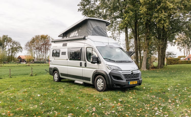 Fijnja – Luxury 4 pers. Pössl bus camper with sleeping lifting roof from 2019