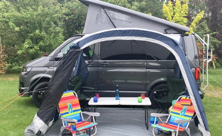 Bailey  – 2019 VW T6.1 Campervan