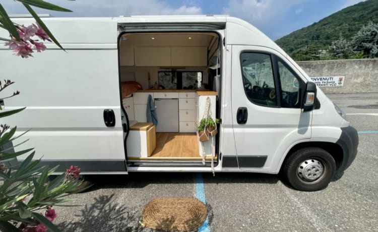 Sallie – 2p Peugeot bus uit 2016