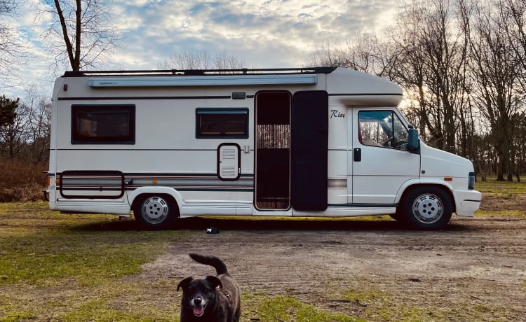 Freebird – Gezellig camper voor heerlijke roadtripjes