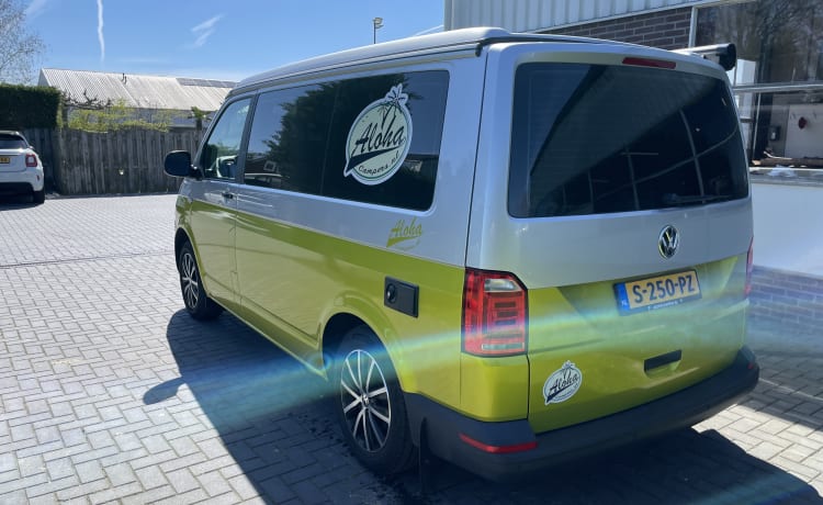 VW T6 – Aloha beach camper citron, très luxueux à l'intérieur