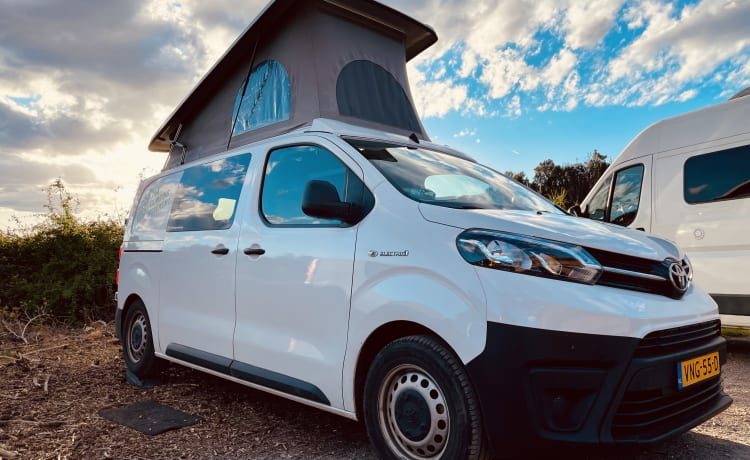 Budgee 🌱⚡️ – 100% electric campervan with off-grid solar+induction ☀️ 