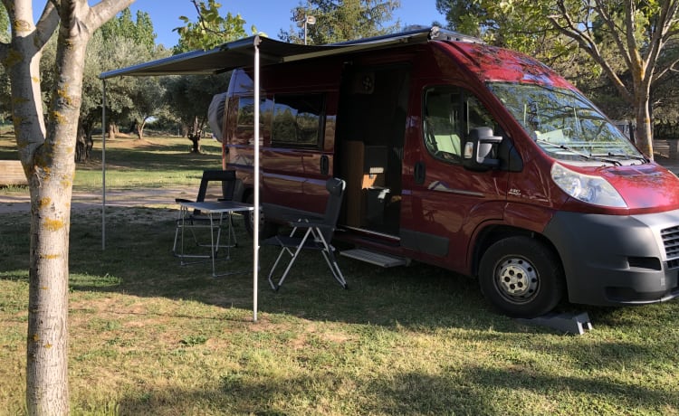 Spacious double (+child) Fiat camper van